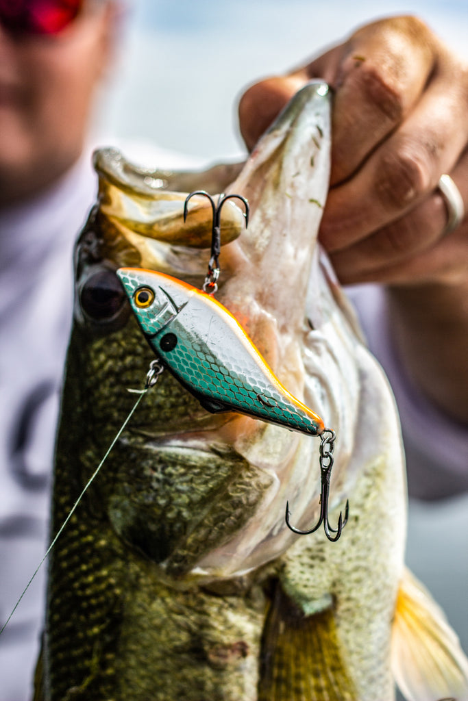 Monofilament - Best Bass Fishing Lures