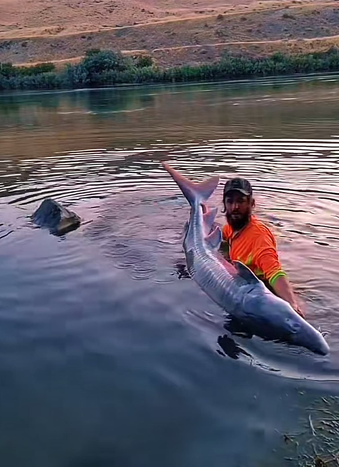 Brandon Shank with a massive sturgeon caught using Slay Sauce