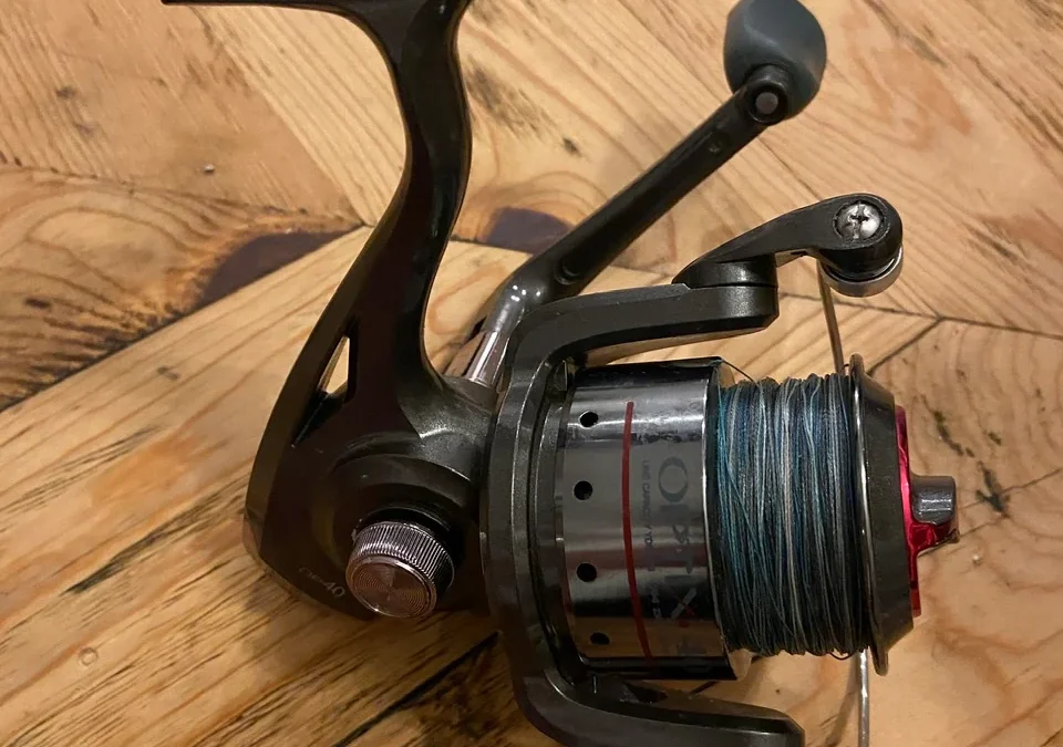 Can a Twenty Dollar Spinning Reel Be Any Good?