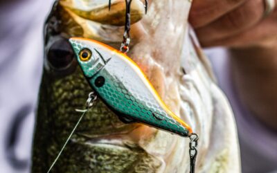 Can I Use Braid for Crankbaits? (hint-stop using monofilament!)